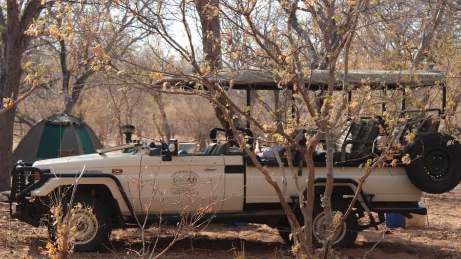 From Victoria Falls: Sunrise to Sunset Chobe Safari - The Early Chobe Game Drive