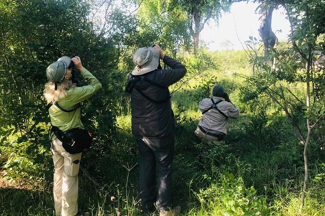 Full Day Birding Zambezi National Park Includes Picnic Lunch - Key points to know before booking