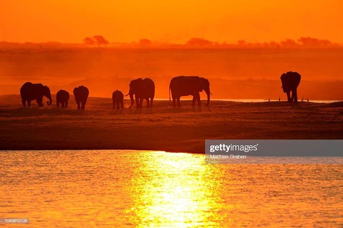 Full Day Chobe National Park Big 5 Safari - Why the boat and game drive work so well together