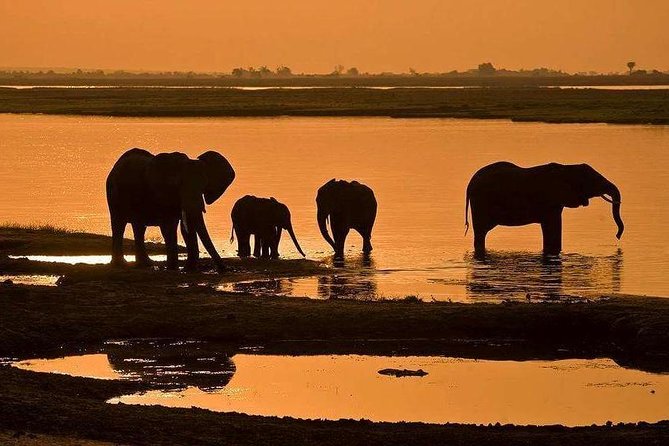 Full Day Chobe National Park Big 5 Safari - The Chobe river cruise and lunch break