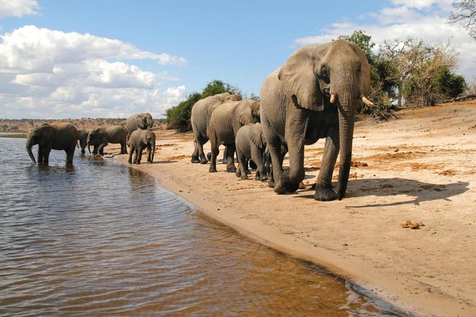 Full Day Chobe National Park Big 5 Safari - Should you book the Chobe day trip?
