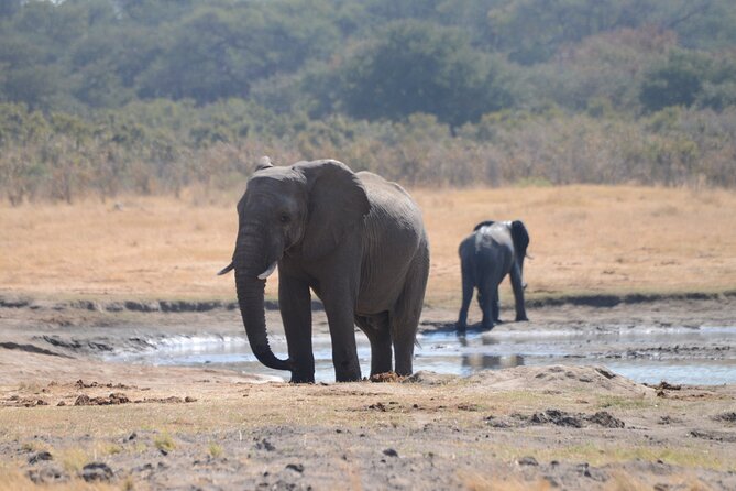 Full Day Chobe Trip with Lunch - The Chobe River cruise changes what you see