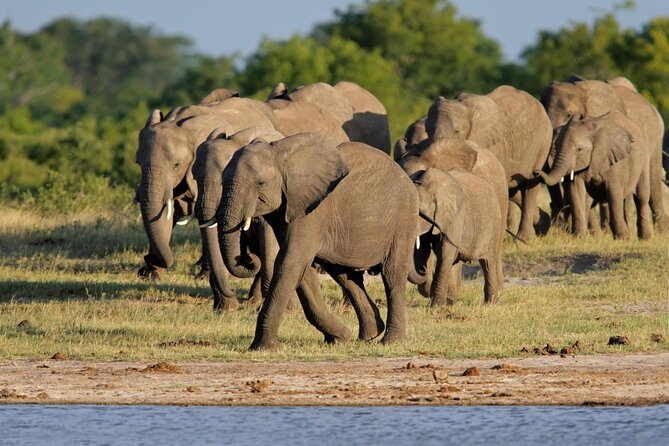 Full Day Hwange Day Trip - Why Hwange works as a day trip from Victoria Falls