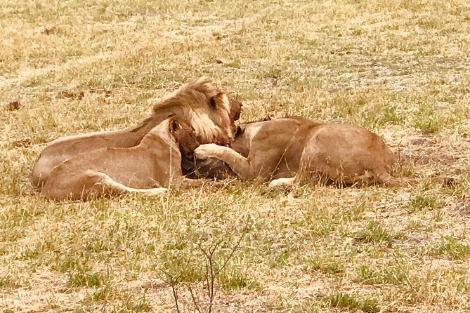 Full-Day Hwange National Park Tour from Victoria Falls - Who will get the most from this experience