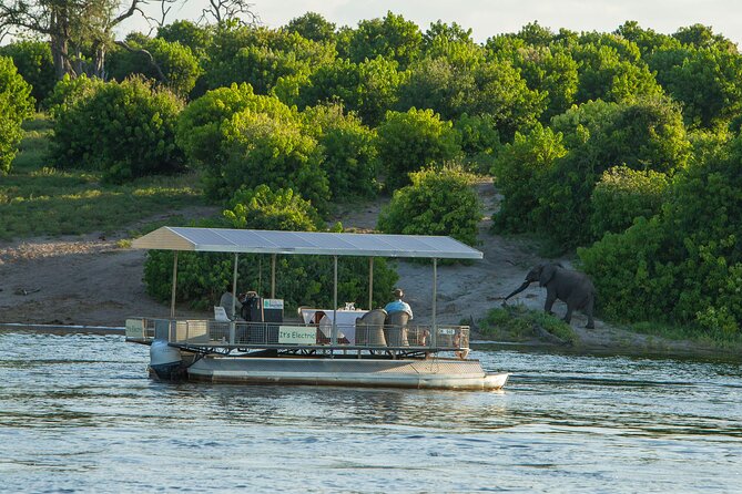 Full-Day Safari Chobe National Park and boat safari - Key points to know before booking