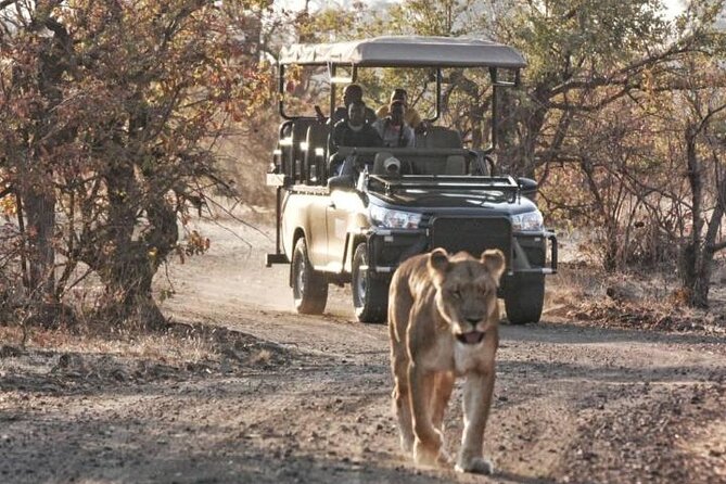 Full-Day Zimbabwe Zambezi National Park Safari & Lunch - Wildlife watching with a private guide