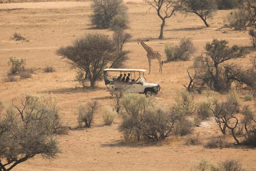 Game drive in Victoria Falls - Key points to know before you go
