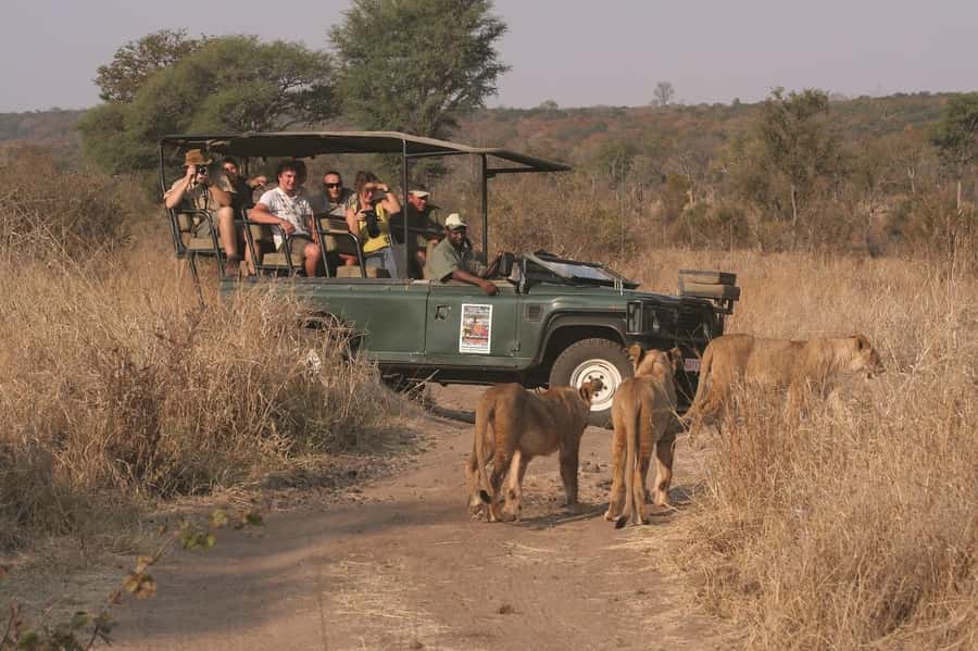 Game drive in Victoria Falls - Why the early departure needs thought