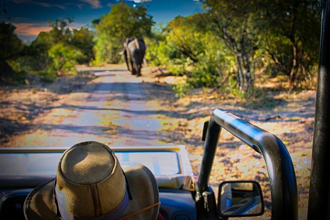 Guided 4x4 Town Safari in Victoria Falls - Why start in Victoria Falls with a town safari?