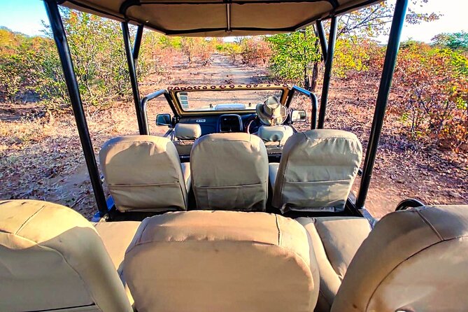 Guided 4x4 Town Safari in Victoria Falls - Who will get the most from this tour?