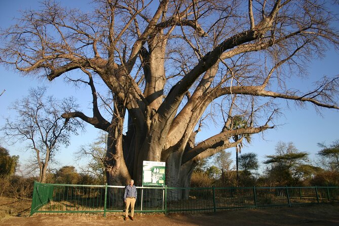 Guided 4x4 Town Safari in Victoria Falls - Timing, pickup, and practical details