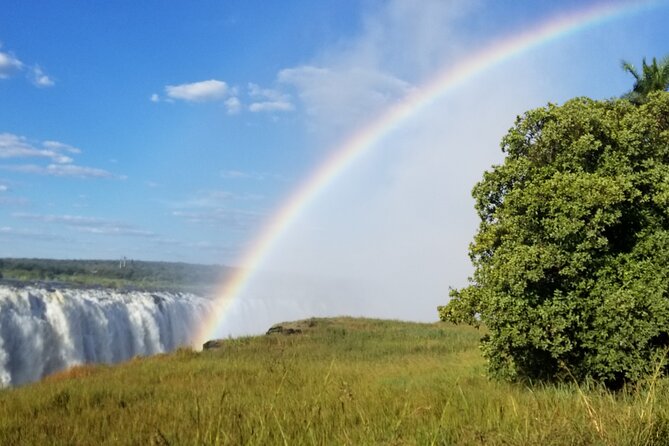 Guided Falls Tour & Zambezi River Cruise Combo - Why this combo works well in Victoria Falls