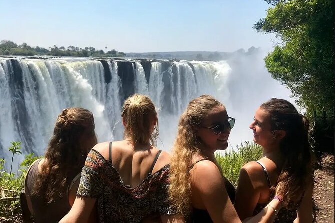 Guided Falls Tour & Zambezi River Cruise Combo - The old baobab and Livingstone’s statue