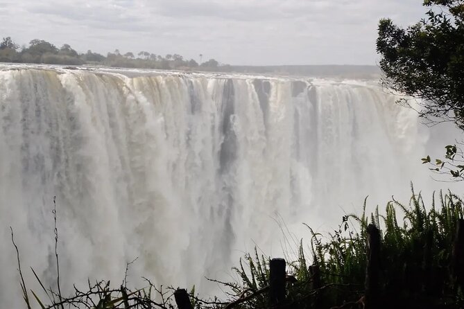 Guided Tour of the Falls - Choosing among the four time slots