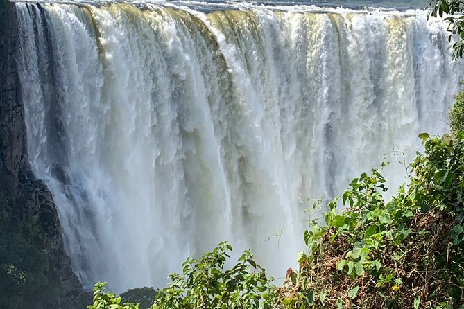 Guided Tour of the Falls Rainforest - The 10-minute ride from your hotel