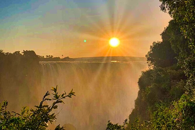 Guided Tour of the Falls Rainforest - What makes the guiding useful