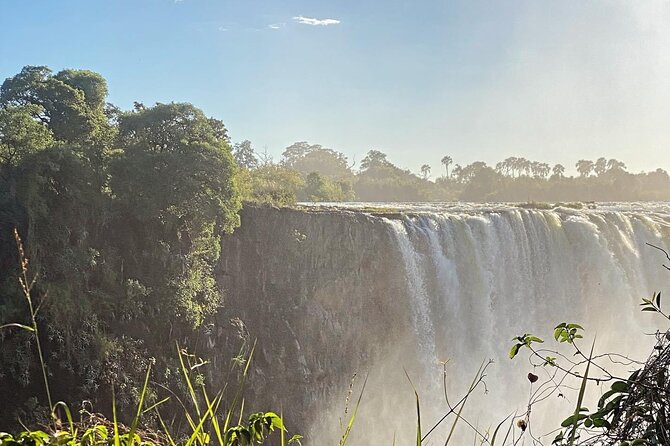 Guided Tour of the Falls Rainforest - Who will get the most from this tour