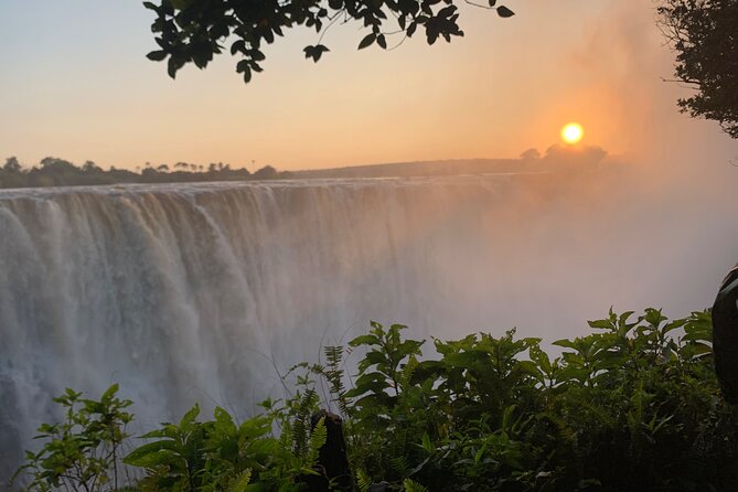 Guided Tour of the Falls Rainforest - Is $25 a fair price?