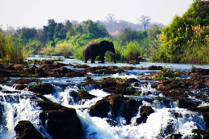 Guided Tour of the Falls (ZIM side) Wildlife Safari, by Savannah - Key points to know before you book