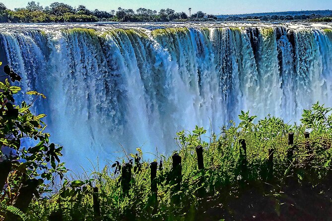 Guided Tour of the Falls (ZIM side) Wildlife Safari, by Savannah - A bush walk before Victoria Falls