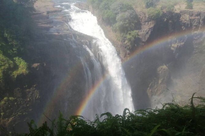 Guided Tour of the Falls (Zimbabwe side) - Exploring the waterfalls and viewpoints