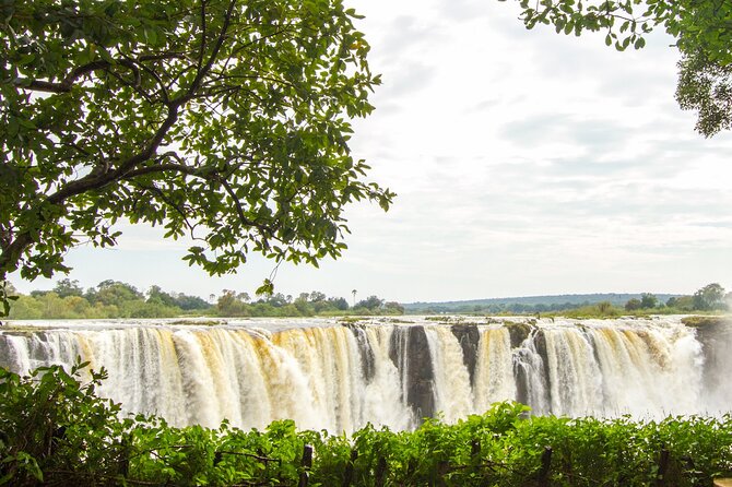 Guided Tour of the Falls (Zimbabwe side) - What Mr B adds to the visit
