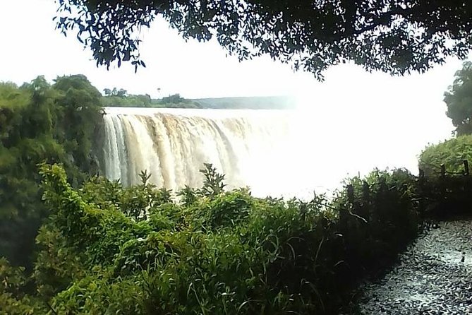 Guided Tour Of the Victoria Falls Zimbabwe - The drive through Victoria Falls National Park