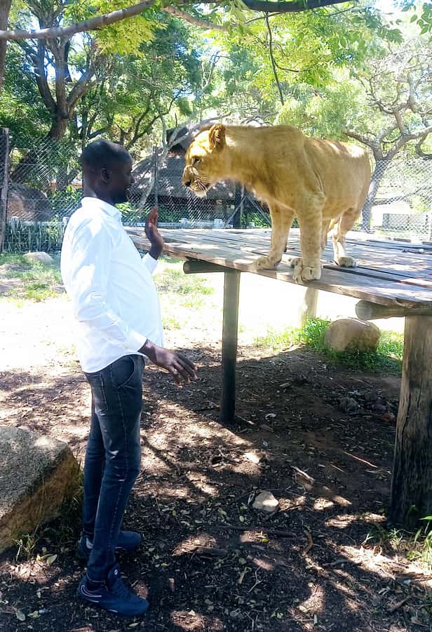 Harare: Half Day Outdoor Adventure - Key Points At A Glance