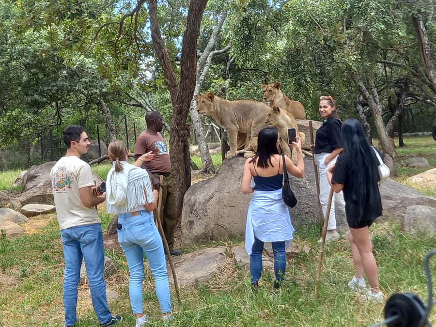 Harare: Half Day Outdoor Adventure - A City Introduction Before The Wildlife