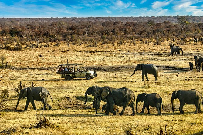 High Tea in the Savannah, Catering by Victoria Falls Hotel - What the $165 price really covers