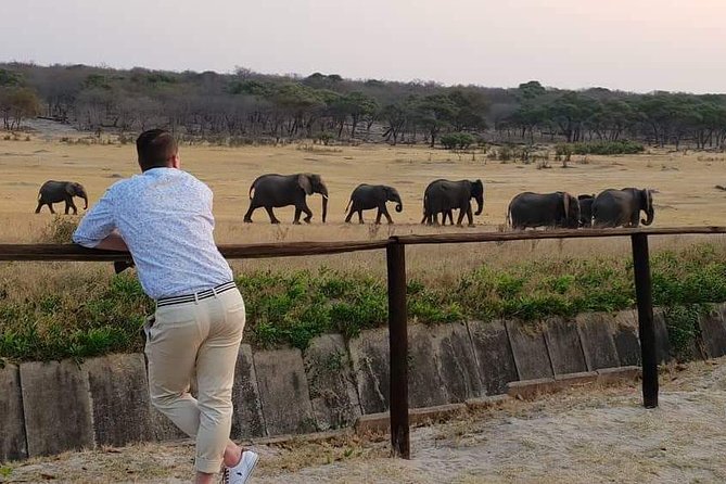 Hwange 3 day Safari - Day 1: Leave Victoria Falls at 2:00 pm