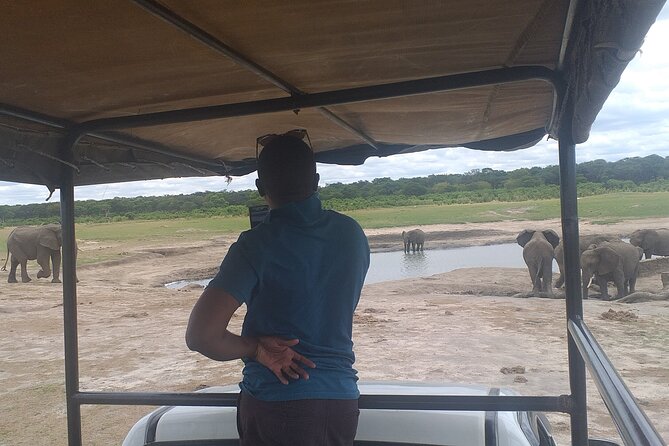 Hwange National Park Full Day Trip - Guide service and the small-group format