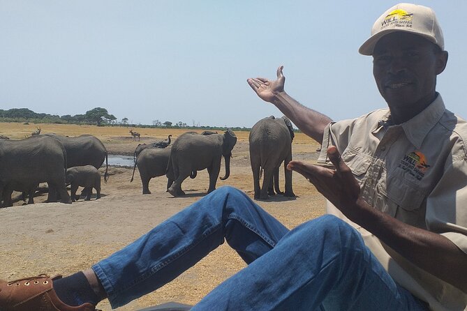 Hwange National Park Full Day Trip - The morning drive, from 9:00 AM to noon