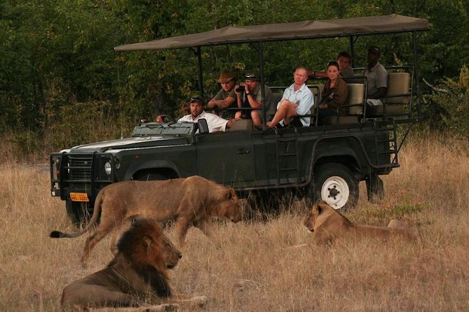 Hwange (Safari) Day Trip from Victoria Falls - Why Hwange makes sense from Victoria Falls