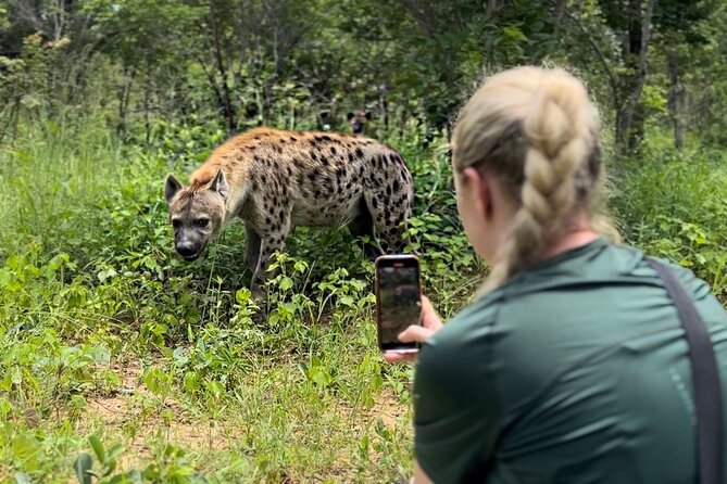 Lion & Wildlife Sanctuary Excursion Victoria Falls - Key points before you book