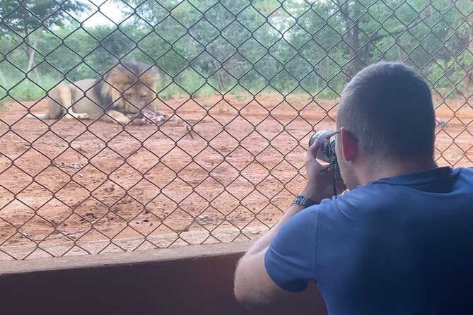 Lion & Wildlife Sanctuary Excursion Victoria Falls - Guide Liki can make the difference