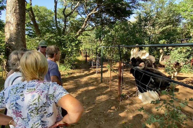 Lion & Wildlife Sanctuary Excursion Victoria Falls - Who will enjoy this most?