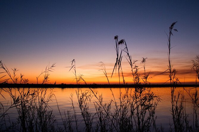 Luxury Sunset River Cruise on the Zambezi - Who should choose this cruise?