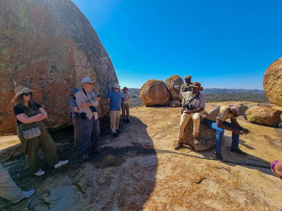 Matobo Hills Day Trip with Rhino Tracking - Why the rhino walk is the day’s main event