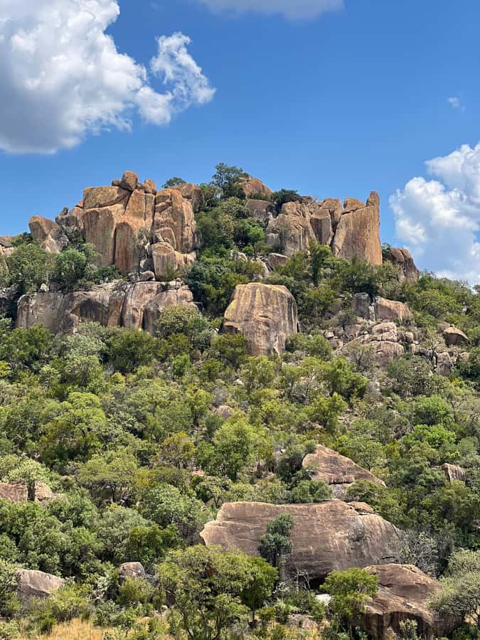 Matobo Hills Day Trip with Rhino Tracking - What the $140 price covers