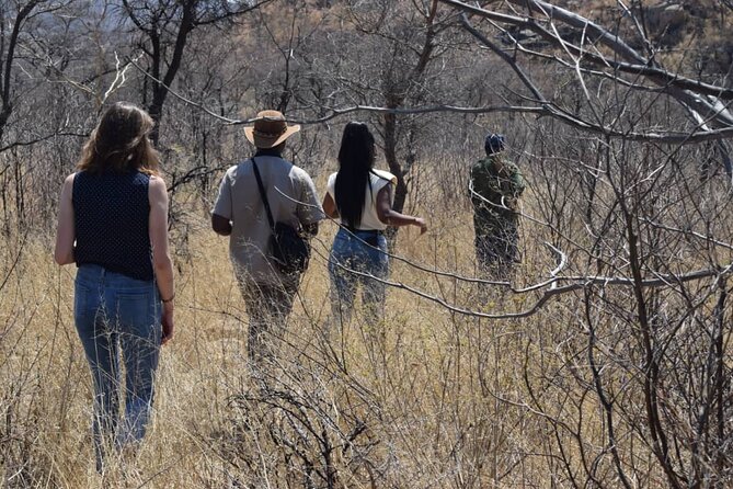 Matobo Rhino Encounter - The first rhino sighting sets the tone