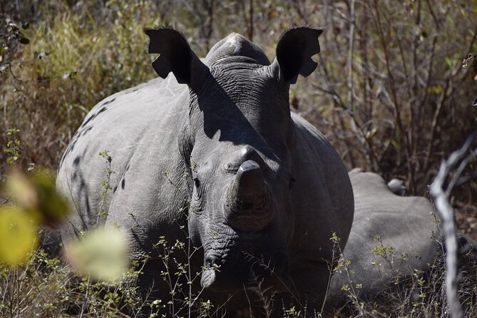 Matobo Rhino Encounter - Inside the cave with thousands-year-old paintings