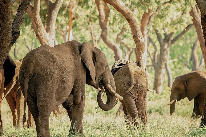 Moments with Elephants - Why the carers make the difference