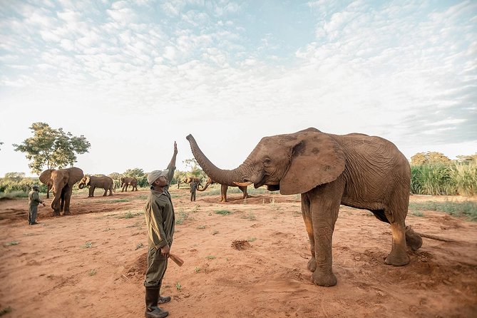 Moments with Elephants - What to consider before booking