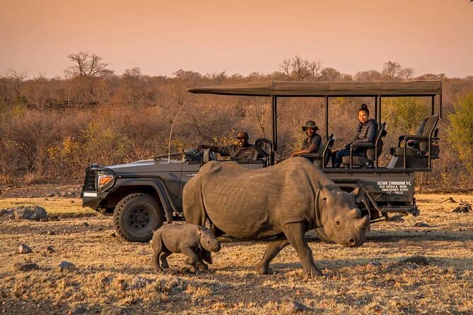 Morning or Afternoon Game Drive In Victoria Falls - Key points to know