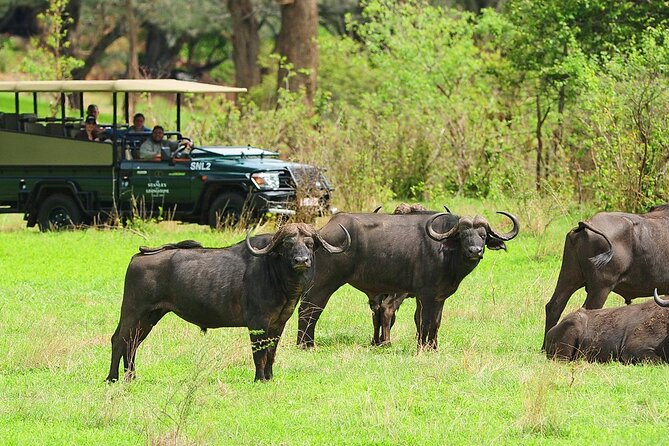 Morning or Afternoon Game Drive In Victoria Falls - The 3pm pickup and ride into the reserve
