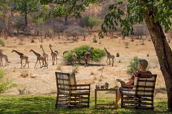 Morning or Afternoon Game Drive In Victoria Falls - Inside the 6,000-acre Stanley and Livingstone reserve