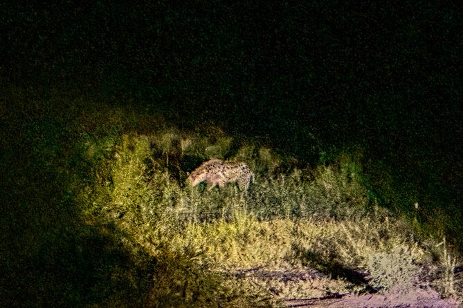 Night Game Drive in Zambezi National Park and Victoria Falls - Is $131 a fair price?