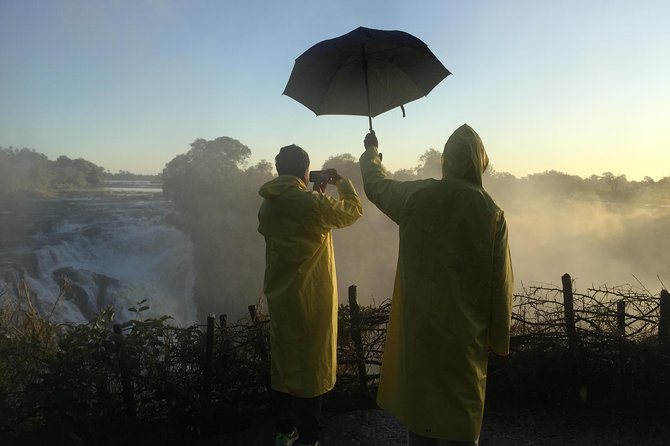 Private Guided Tour of the Falls with Pickup - What the guide adds beyond the views
