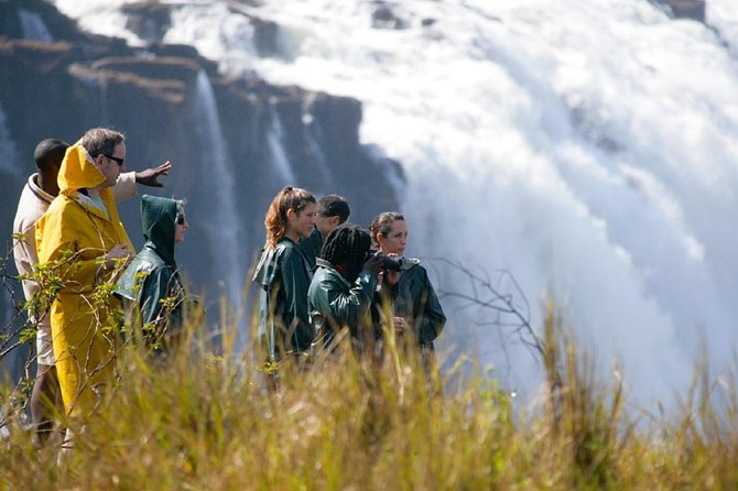 Private Guided Tour of the Falls with Pickup - Walking through the rainforest to the falls